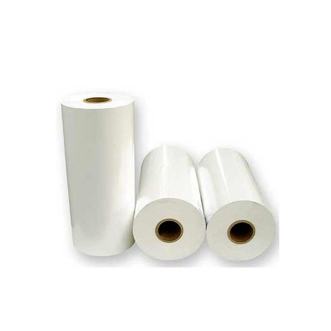 LDPE / Poly Coated Maplitho Paper